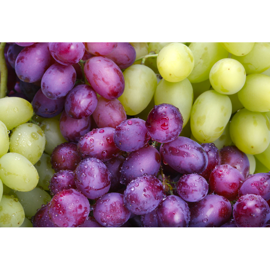 Egyptian Fresh Grapes