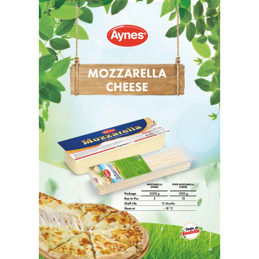 MOZZARELLA CHEESE Aynes Gıda San. ve Tic. A.S. Wholesale B2B The