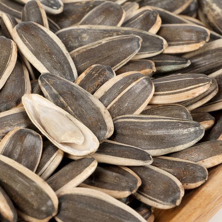 Sunflower seeds Bayinnaoer City Chentai Industry and trade co.,Ltd