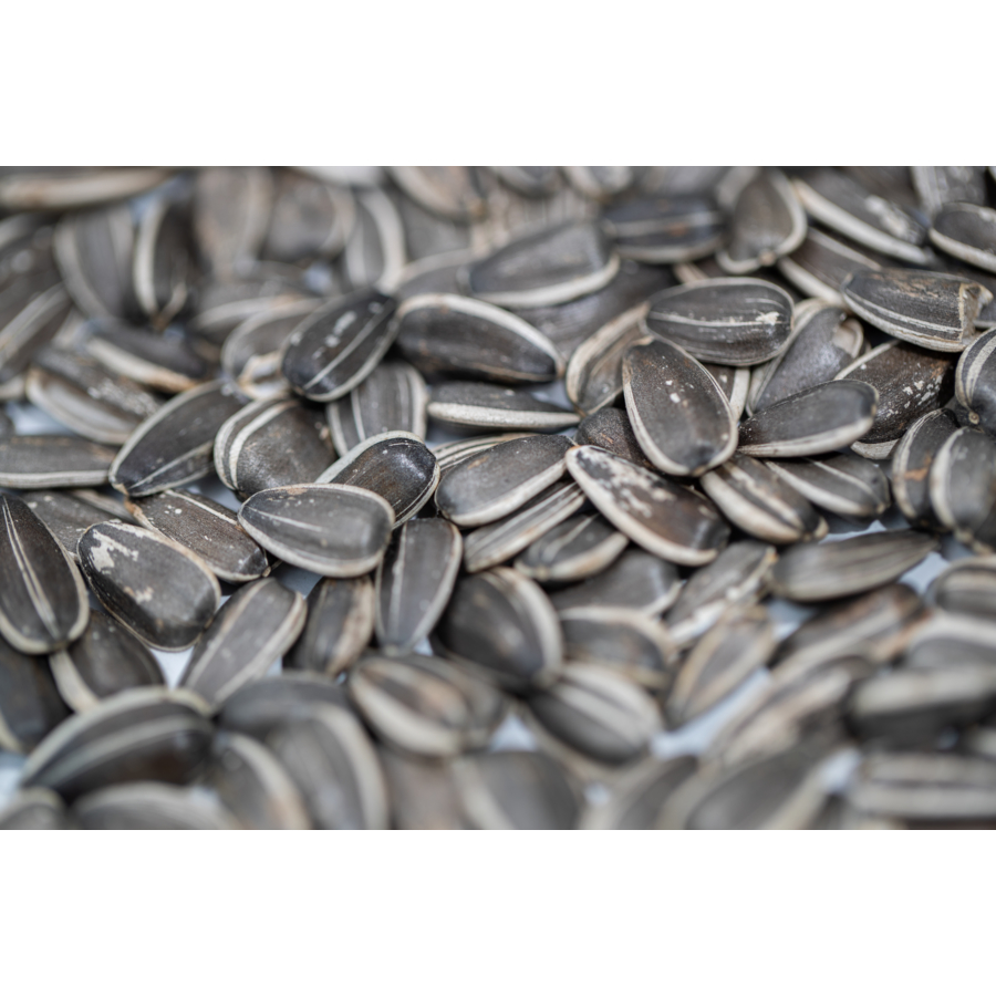 Striped Sunflower Seeds Kalshea Commodities Inc. CXMP Comexposium