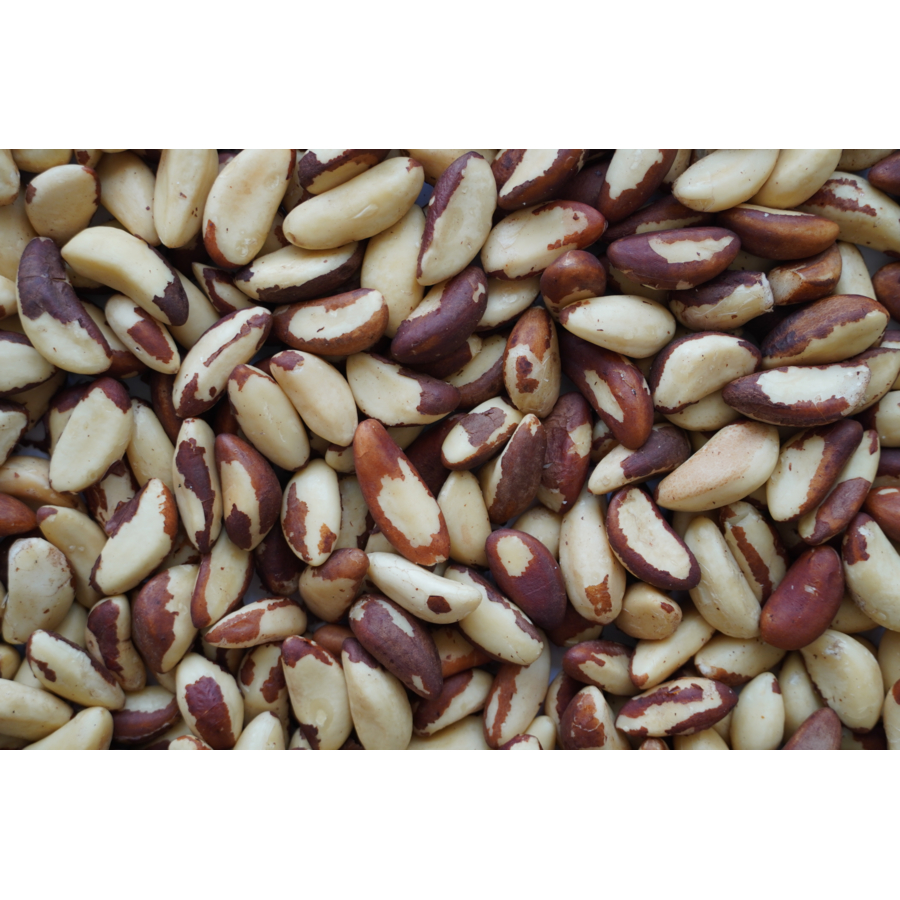 Brazil Nut White Lion Foods Wholesale B2B The SHOwP