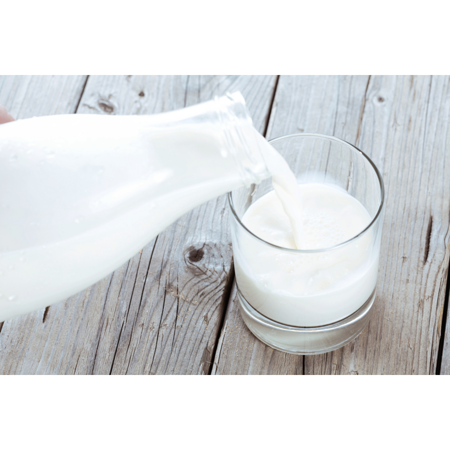 Fresh Dairy Products